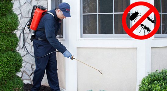 Beydağ Hamam Böceği İlaçlama böcek ilaçlama ve haşere kontrolü — ilaclama-tr.com